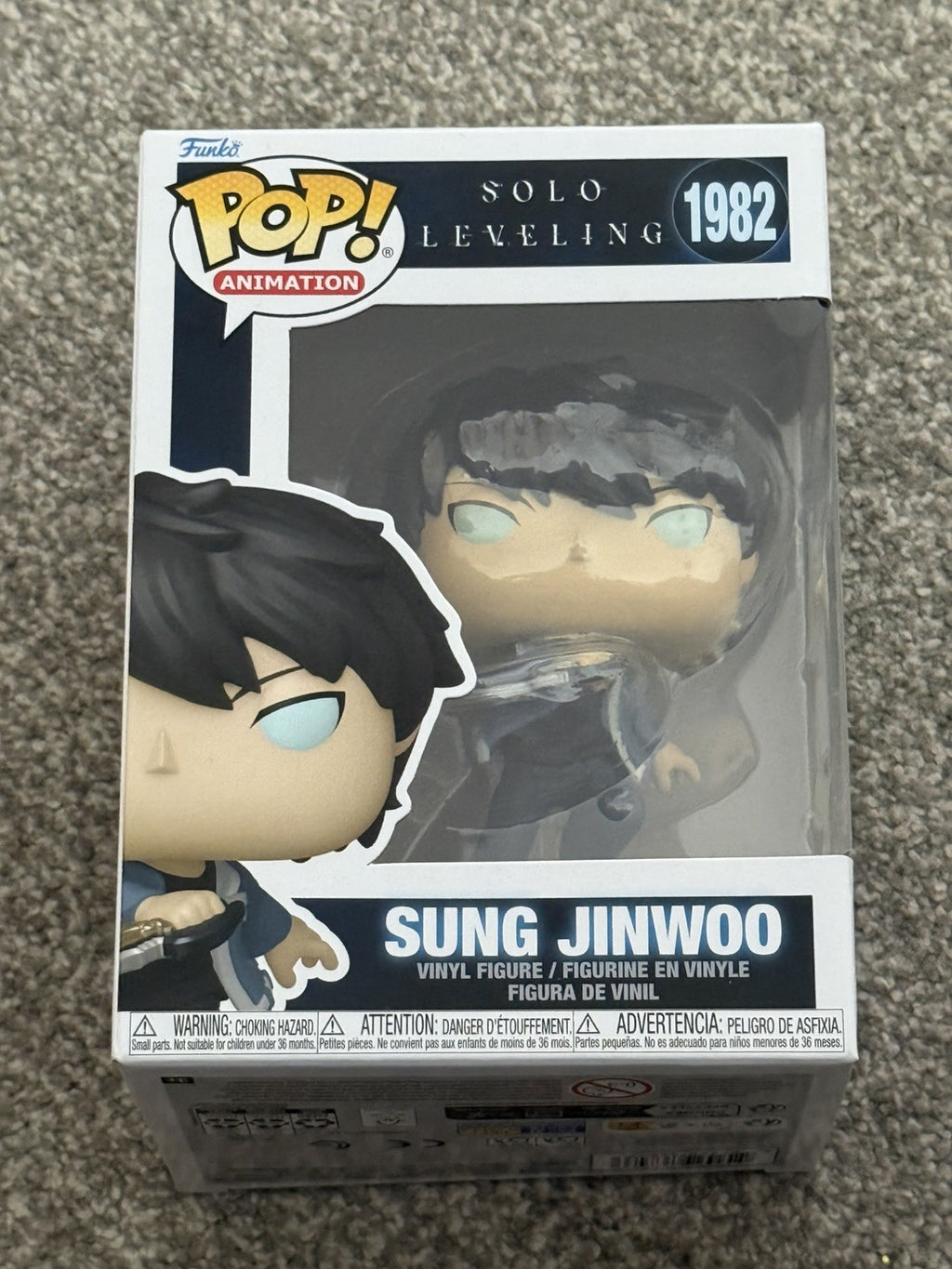 Solo Leveling Sung Jinwoo1