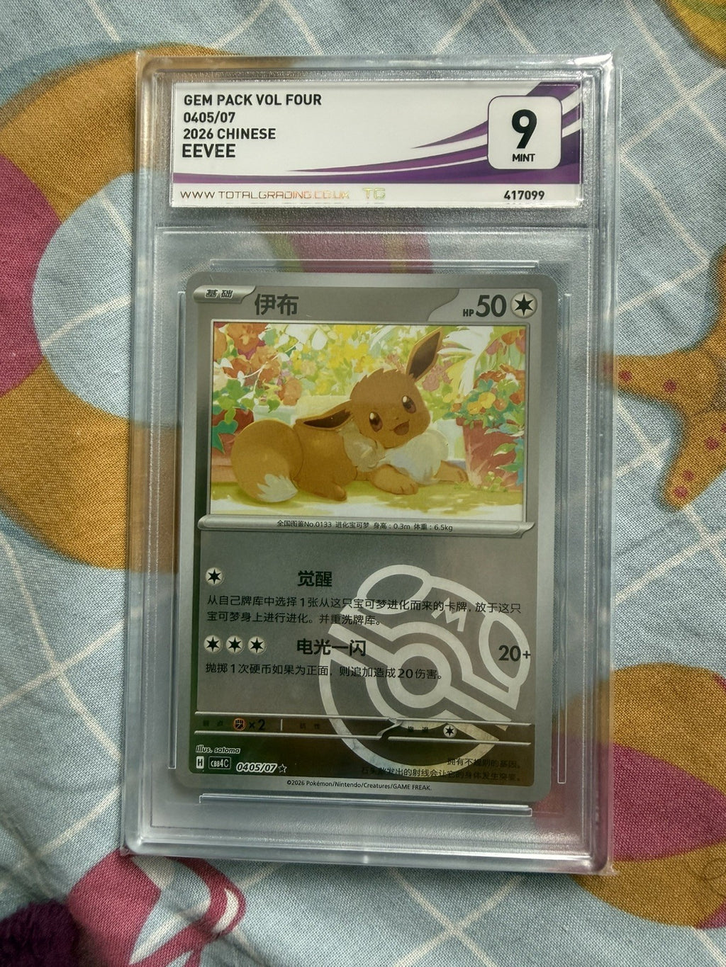Pokemon Master Ball Eevee TOC Grade 9 Chinese Simplified CBB4C 0405/07 BW170